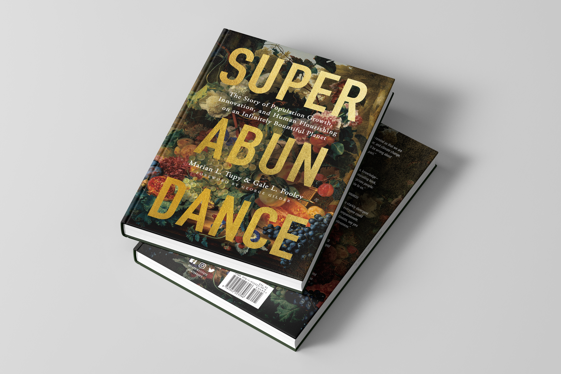 Superabundance